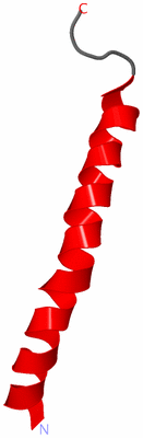 Image NMR Structure - model 1