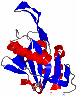 Image NMR Structure - model 1