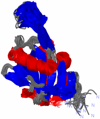 Image NMR Structure - all models