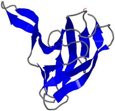 Image NMR Structure - model 1