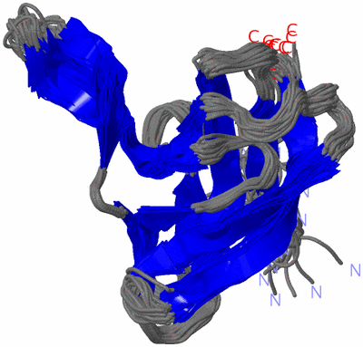 Image NMR Structure - all models