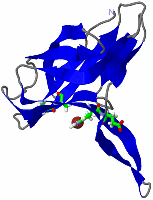 Image NMR Structure - model 1, sites