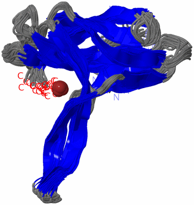 Image NMR Structure - all models