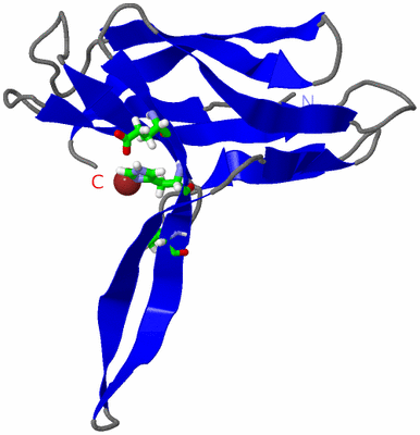 Image NMR Structure - model 1, sites