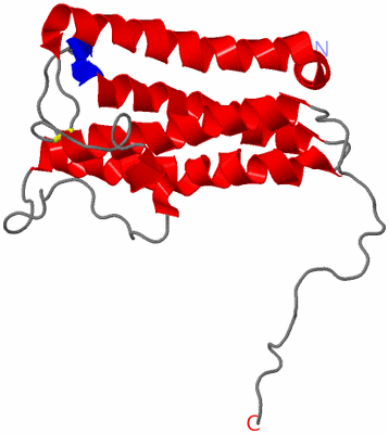 Image NMR Structure - model 1