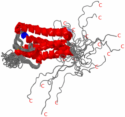 Image NMR Structure - all models