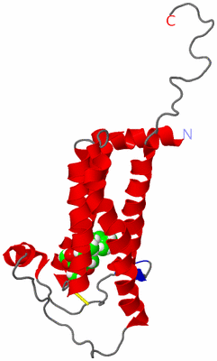 Image NMR Structure - model 1