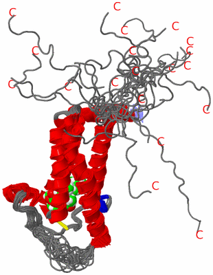 Image NMR Structure - all models