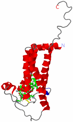 Image NMR Structure - model 1, sites