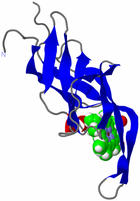 Image NMR Structure - model 1