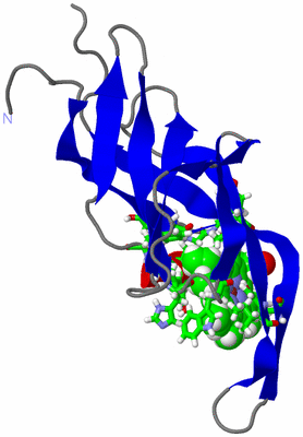 Image NMR Structure - model 1, sites