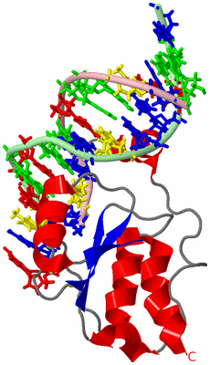 Image NMR Structure - model 1