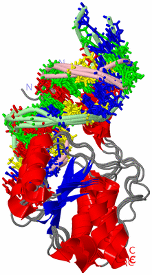 Image NMR Structure - all models