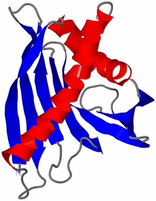 Image NMR Structure - model 1