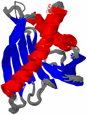 Image NMR Structure - all models