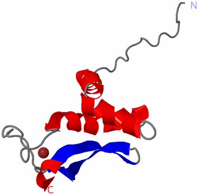 Image NMR Structure - model 1