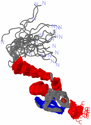 Image NMR Structure - all models