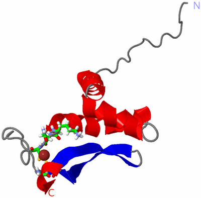 Image NMR Structure - model 1, sites