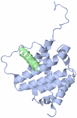 Image NMR Structure - model 1