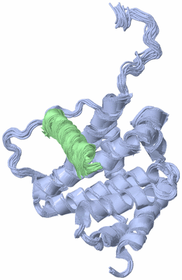 Image NMR Structure - all models