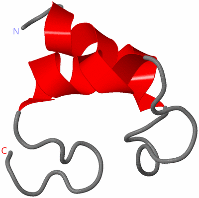 Image NMR Structure - model 1