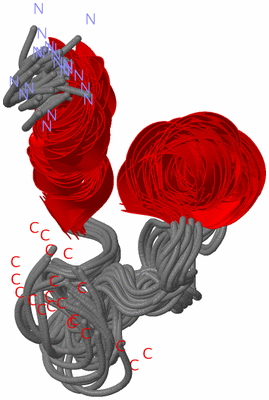 Image NMR Structure - all models