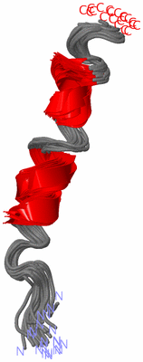 Image NMR Structure - all models