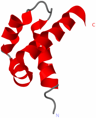 Image NMR Structure - model 1