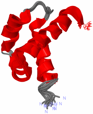 Image NMR Structure - all models