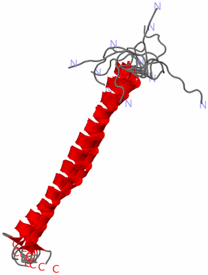 Image NMR Structure - all models