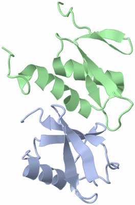 Image NMR Structure - model 1