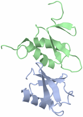 Image NMR Structure - model 1