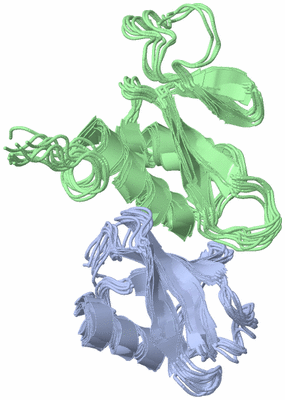 Image NMR Structure - all models