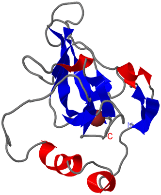 Image NMR Structure - model 1