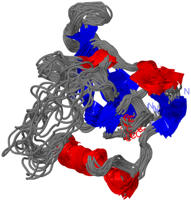 Image NMR Structure - all models