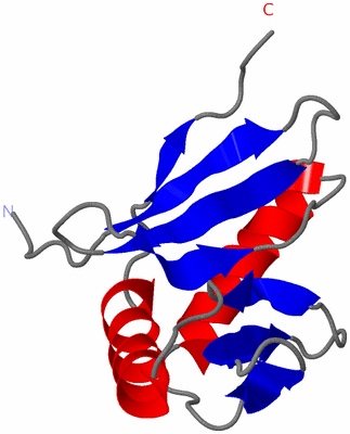 Image NMR Structure - model 1