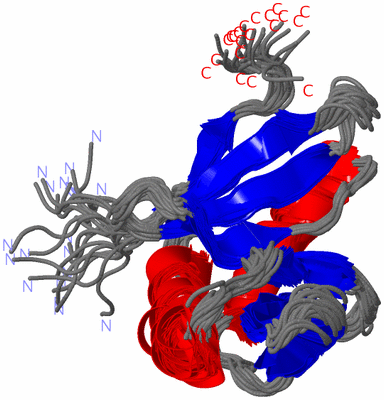 Image NMR Structure - all models