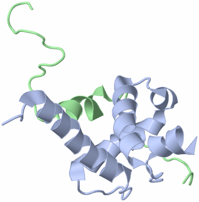 Image NMR Structure - model 1