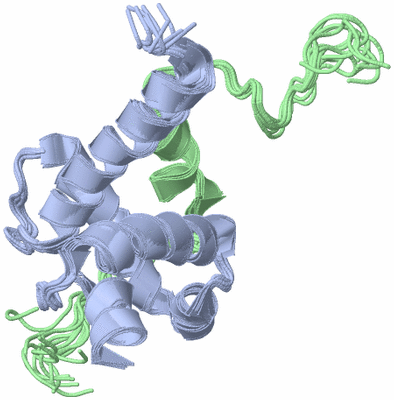 Image NMR Structure - all models