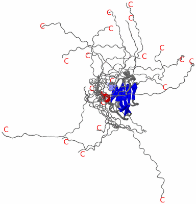 Image NMR Structure - all models