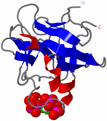 Image NMR Structure - model 1