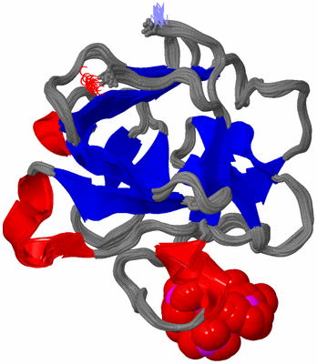 Image NMR Structure - all models