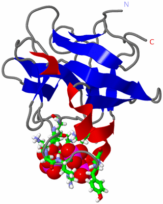 Image NMR Structure - model 1, sites