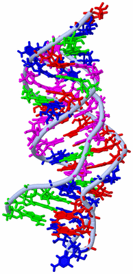 Image NMR Structure - model 1