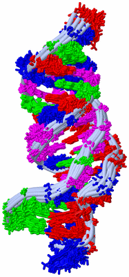 Image NMR Structure - all models