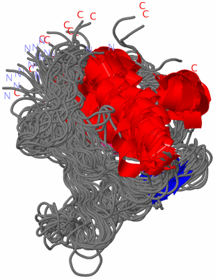 Image NMR Structure - all models