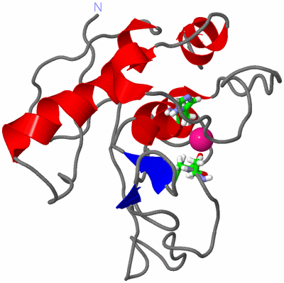 Image NMR Structure - model 1, sites