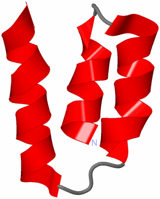 Image NMR Structure - model 1