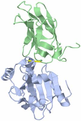 Image NMR Structure - model 1