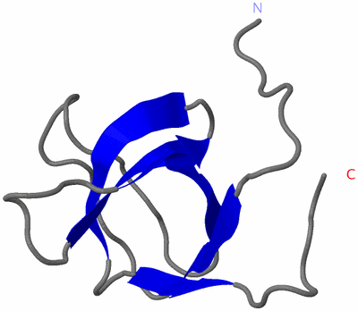 Image NMR Structure - model 1